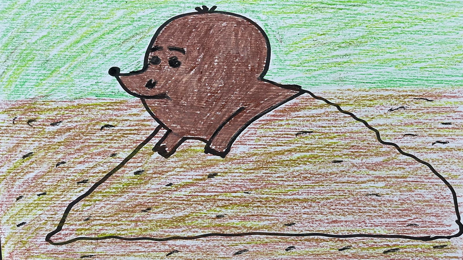 A drawing of a Mole