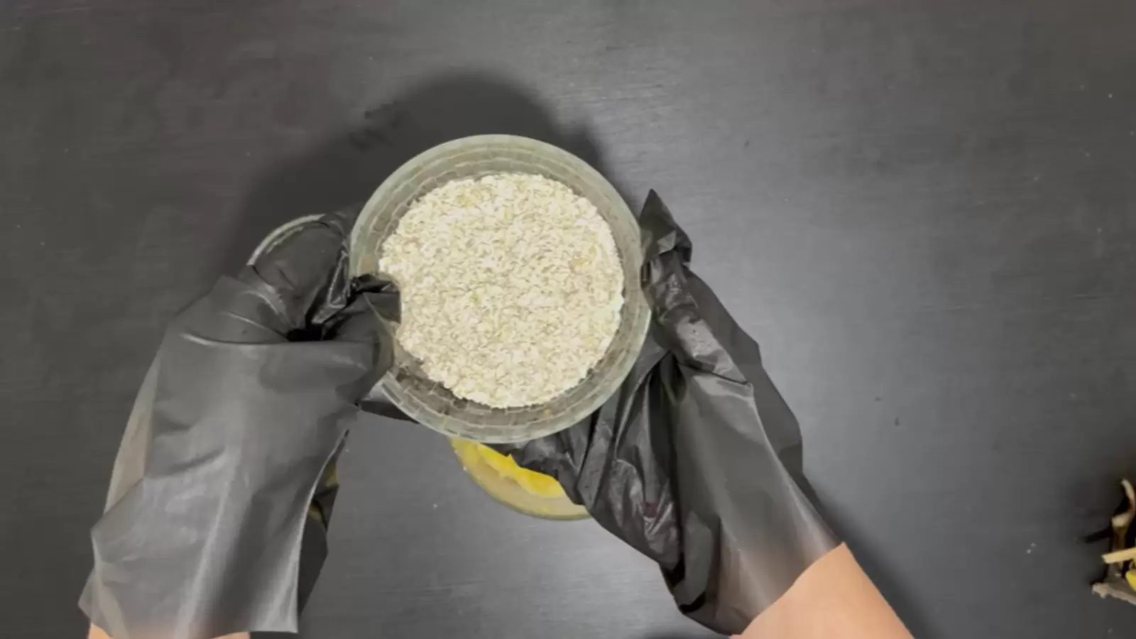 Bowl of oats